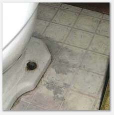 Loose toilet bowls often cause undetected leaks.  Discolored flooring is a clue that you have a failed wax ring.