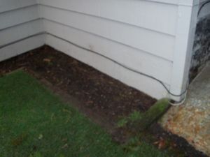 100_4079.jpg