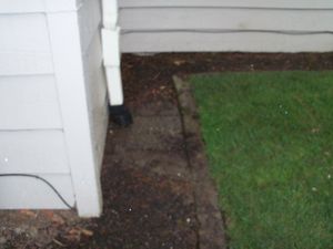 100_4081.jpg