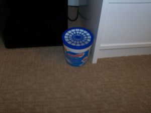 100_4096.jpg