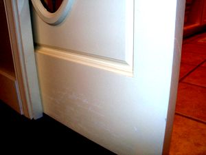 100_4098.jpg