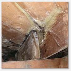 crawlspace leak