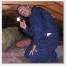 attic inspections