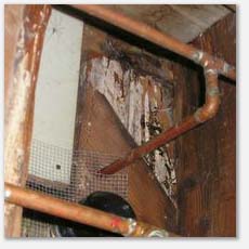 rotten sub floor in crawl space