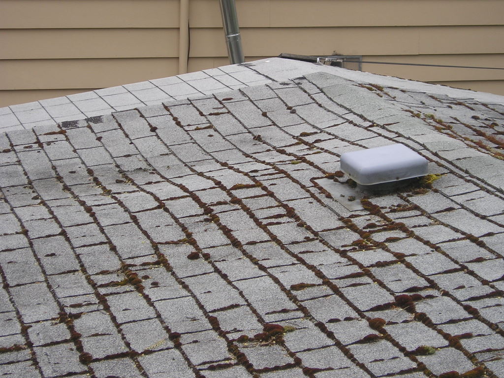 Rotting roof sheeting