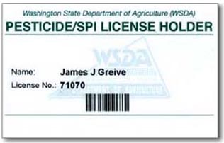 JJ Greive Washngton State Structural Pest Inspector / Ants, Termites, and wood boreing beetles.